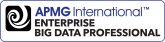 Enterprise Big Data
